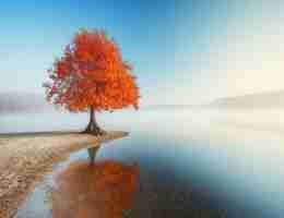 精﻿准​识‌别‍程‍序‍包﻿括‌哪﻿些‌步﻿骤﻿